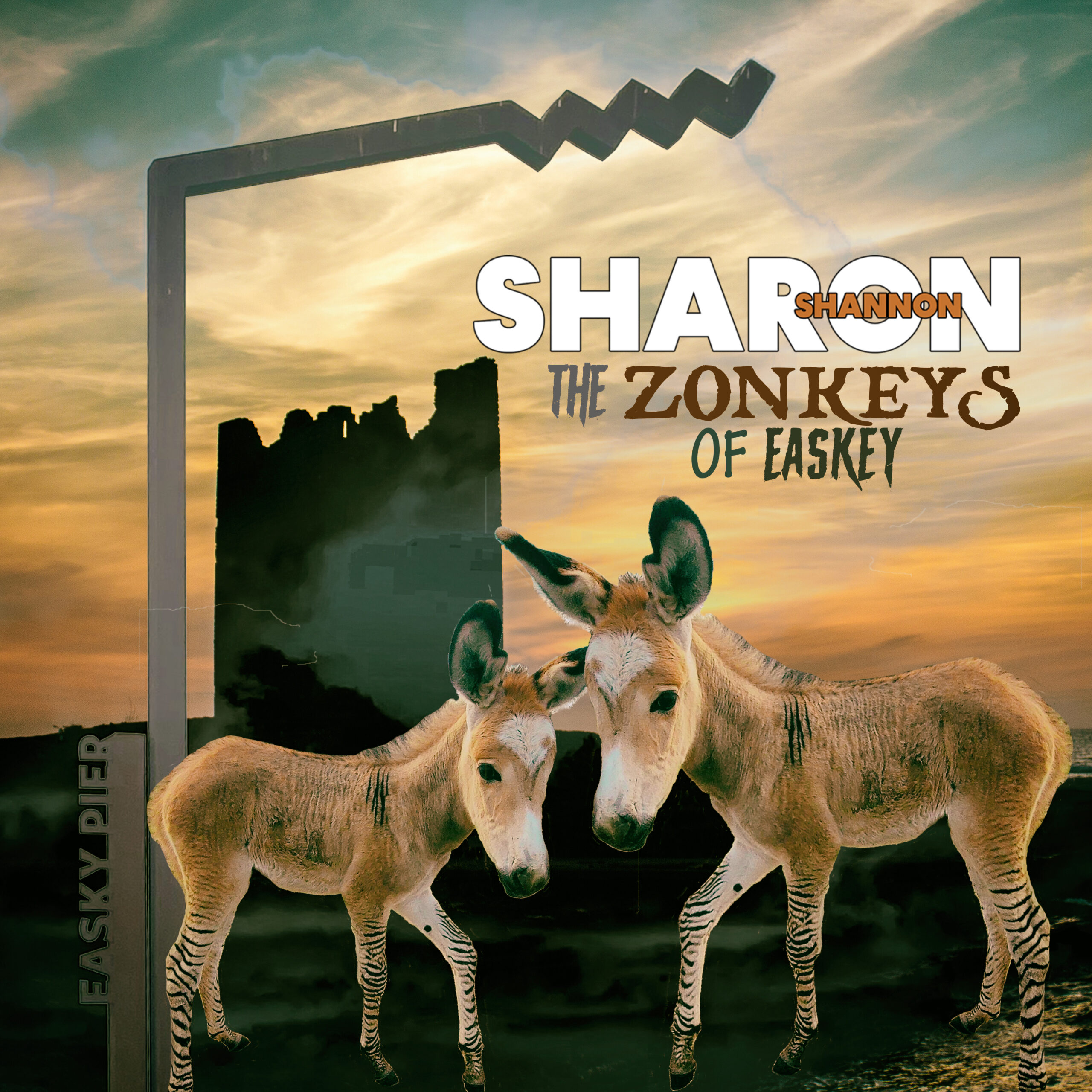 Sharon Shannon - The Zonkeys of Easkey